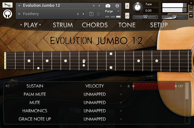 12弦民谣原声木吉他音源Orange Tree Samples Evolution Jumbo 12 (kontakt | 5.09GB)