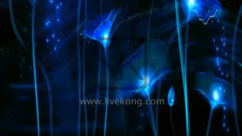 城里的月光小池荷塘月色舞台视频背景led大屏素材中国风 Livekong来悟空素材
