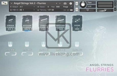 天使弦乐队扩展包Auddict Angel Strings Vol 2 Flurries(kontakt | 10GB)
